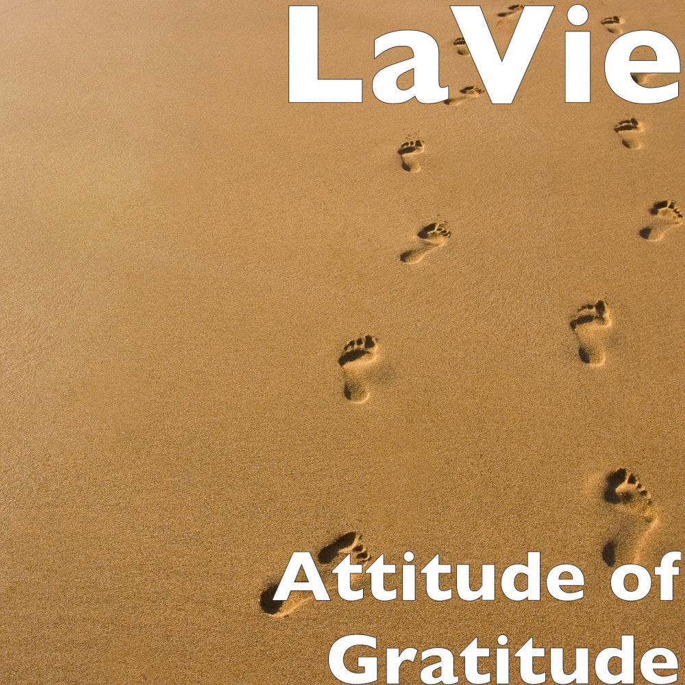 Attitude of Gratitude