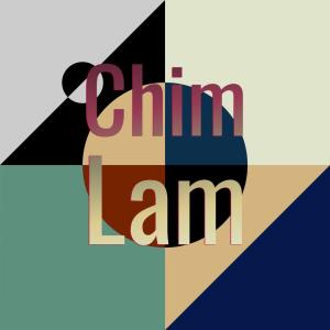 Listen to Biggish Line song with lyrics from Inie Lmer