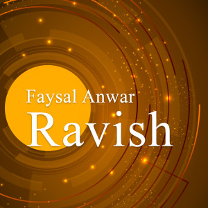 收听Faysal Anwar的Mohni歌词歌曲