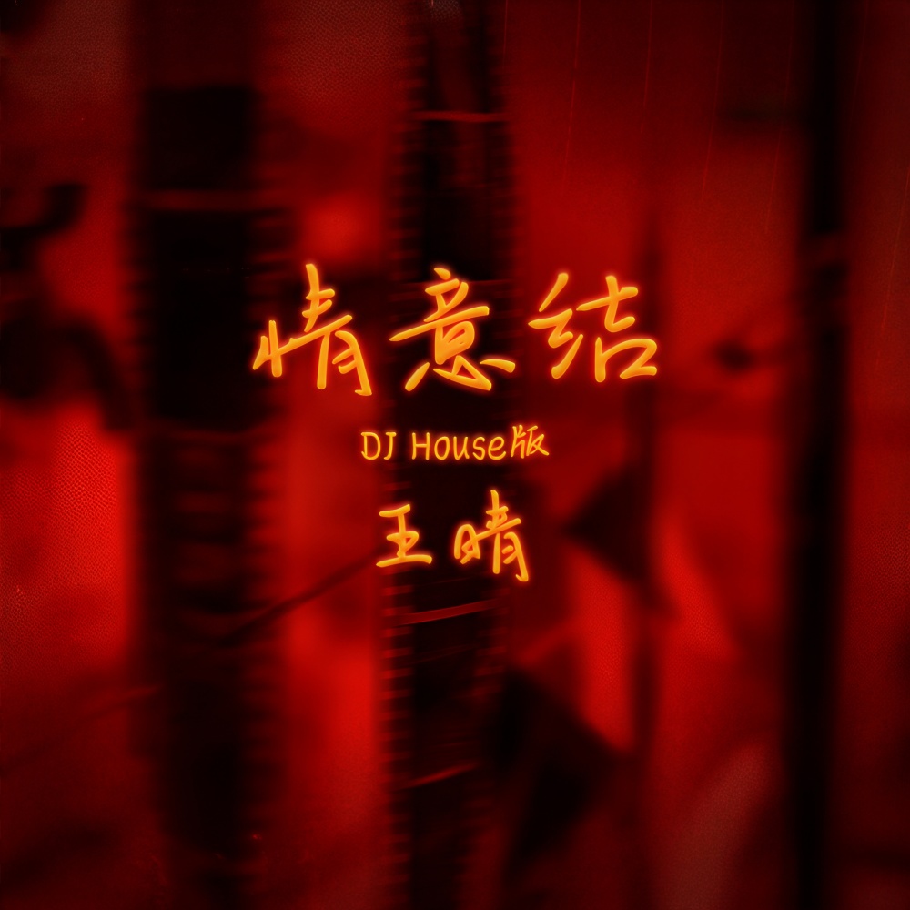 情意结 (DJ House版伴奏)