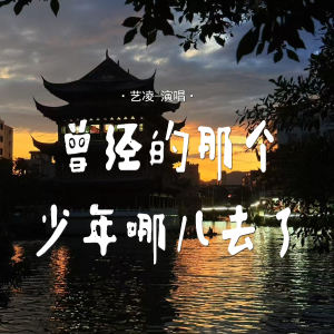 Album 曾经的那个少年哪儿去了 from 小小杨玉莹