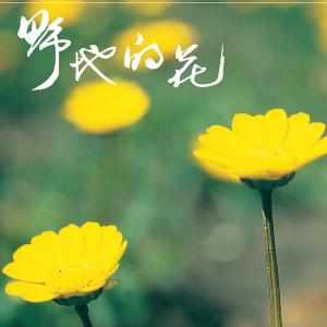 Listen to Ye De De Hua song with lyrics from 天韵合唱团