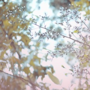 Listen to Puya (完整版) song with lyrics from 何嘉炜
