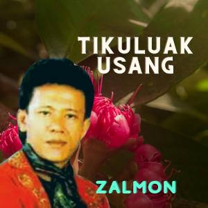 Dengarkan Tikuluak Usang lagu dari Zalmon dengan lirik