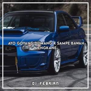 收听Dj Febrian的DJ Ayo Goyang Dumang X Sampe Bawah Mengkane - Inst歌词歌曲