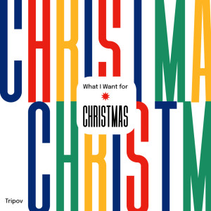 Listen to What I Want for Christmas song with lyrics from Tripov