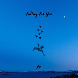 樸再興的專輯Falling for You