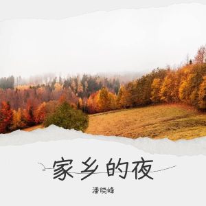 Listen to 家乡的夜 (完整版) song with lyrics from 西域刀郎