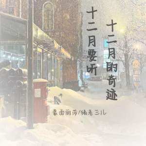 Album 十二月要听十二月的奇迹 from 
