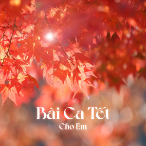 ดาวน์โหลดและฟังเพลง Bài Ca Tết Cho Em พร้อมเนื้อเพลงจาก Phương Nhi