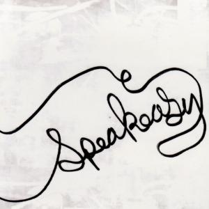 ดาวน์โหลดและฟังเพลง The Bigger Picture พร้อมเนื้อเพลงจาก the Speakeasy