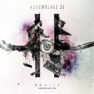 Listen to The Other Side of the Wall song with lyrics from Assemblage 23
