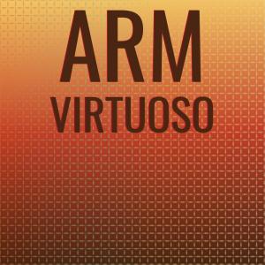 Album Arm Virtuoso from Various