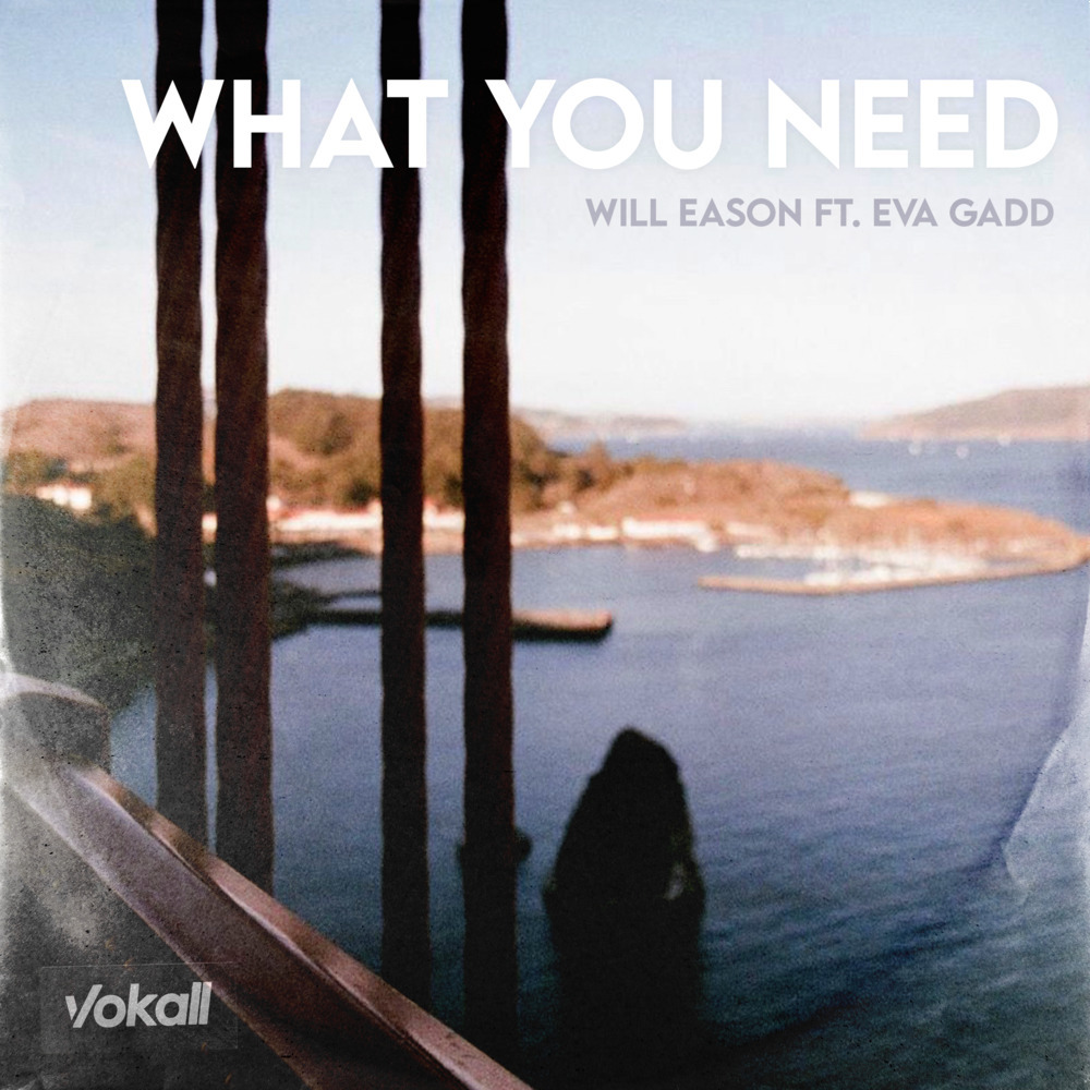 What You Need