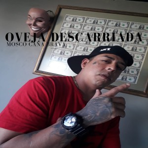 收聽Mosco Caña Brava的Suramericano歌詞歌曲