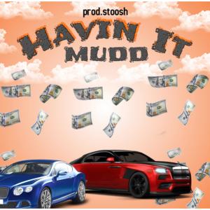 Album Havin It (feat. Zaii & Stoosh) (Explicit) from Mudd