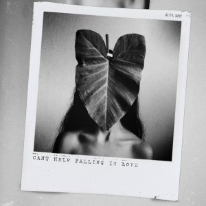 ดาวน์โหลดและฟังเพลง Can't Help Falling in Love พร้อมเนื้อเพลงจาก Kaia Kingsley