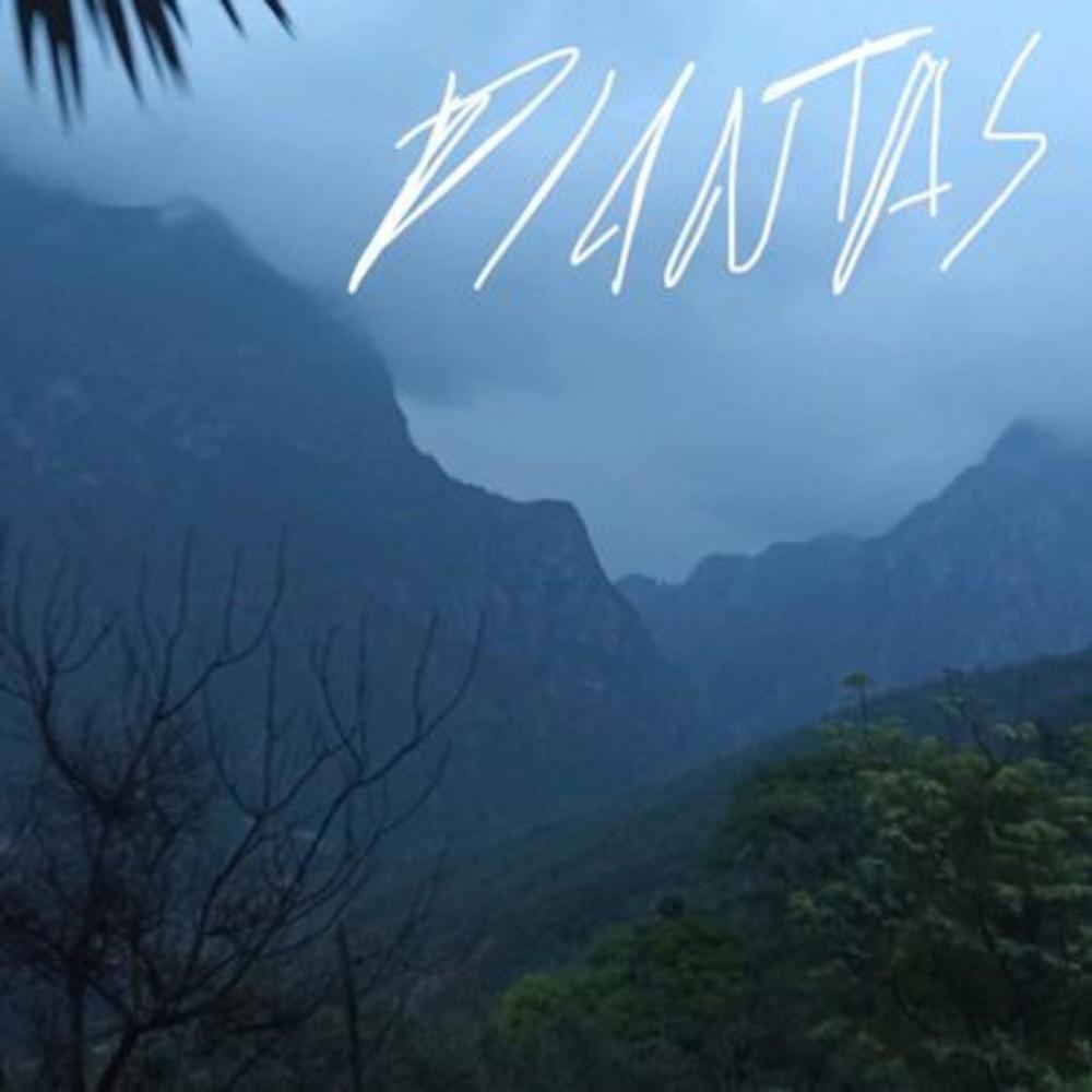 plantas (feat. Nate)
