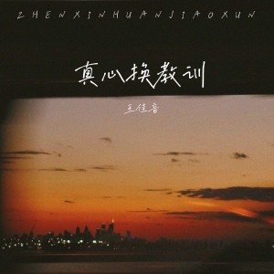 王佳音的專輯真心換教訓
