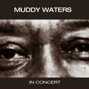 ดาวน์โหลดและฟังเพลง Blow Wind Blow (Live) พร้อมเนื้อเพลงจาก Muddy Watters