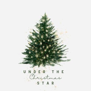ดาวน์โหลดและฟังเพลง Silent Night พร้อมเนื้อเพลงจาก Christmas Piano Players
