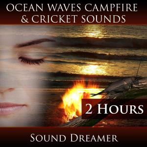 Ocean Waves, Campfire and Cricket Sounds (2 Hours)