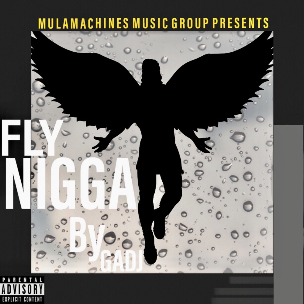 Fly Nigga (Explicit)