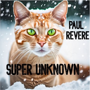 Album Super Unknown from Paul Revere
