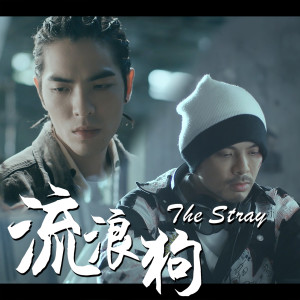 Listen to 流浪狗 The Stray song with lyrics from Namewee