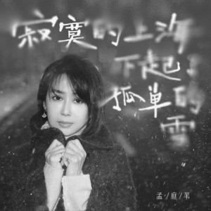 Album 寂寞的上海下起了孤单的雪 from Meng Ting Wei (孟庭苇)