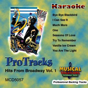 收聽Musical Creations Studio Musicians (Karaoke)的I Can See It歌詞歌曲