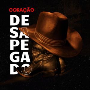 Listen to Coração Desapegado song with lyrics from Hplay Produções