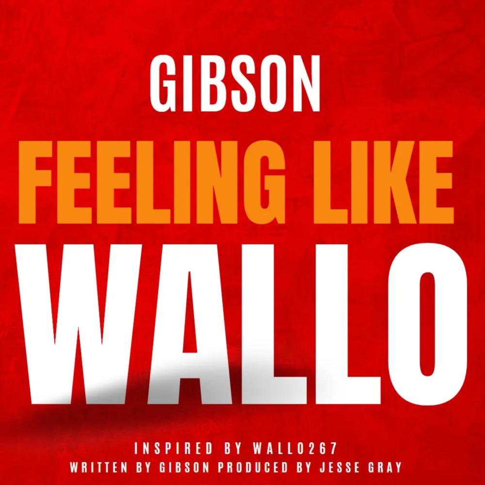 Feeling like Wallo (Explicit)