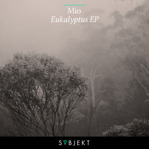 Listen to Damiana (Radio Edit) song with lyrics from MIO