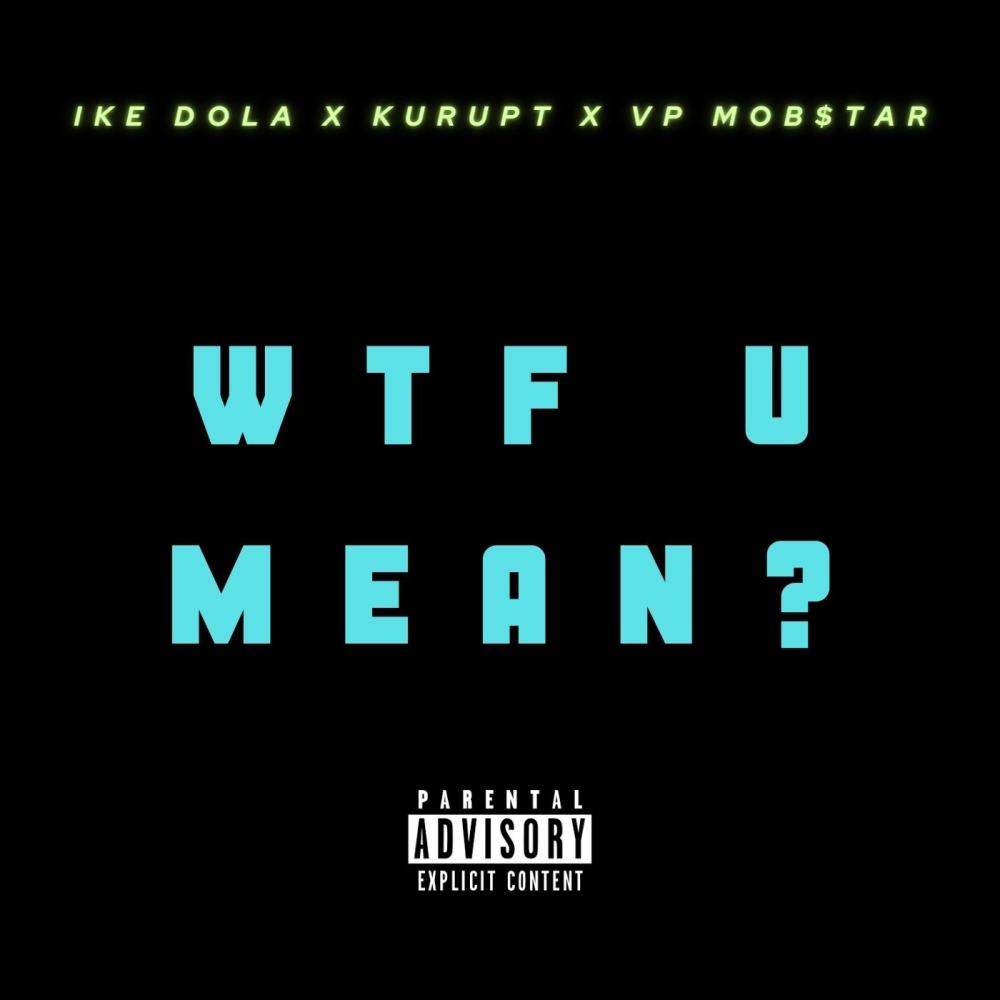 WTF U Mean (feat. Kurupt, Tha Dogg Pound & VP Mob$tar) (Explicit)