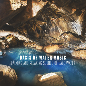 Album Oasis of Water Music, Calming and Relaxing Sounds of Waterfall and Cave Water from Calming Water Consort