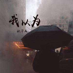 Album 我以为 from 欧华成
