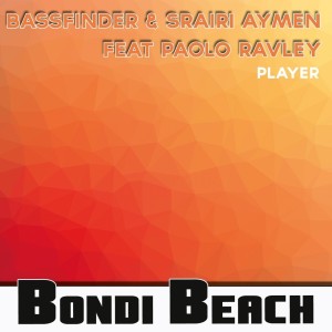 Listen to Player (Micci Remix) song with lyrics from Bassfinder