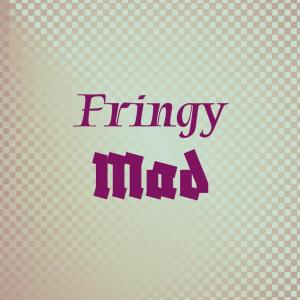 Various的专辑Fringy Mad