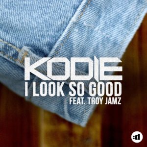 ดาวน์โหลดและฟังเพลง I Look So Good (Radio Version) (Radio Edit) พร้อมเนื้อเพลงจาก Troy Jamz