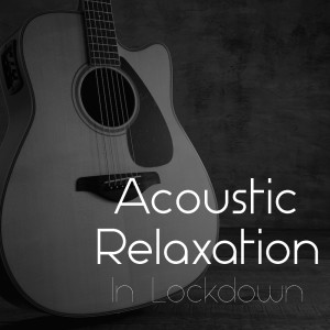 Dengarkan Take It To The Limit lagu dari Acoustic Eagles dengan lirik