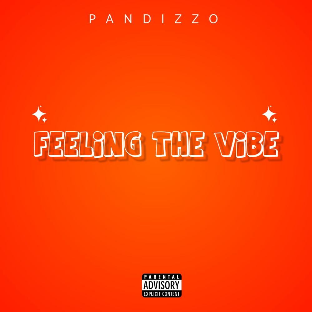 Feeling The Vibe