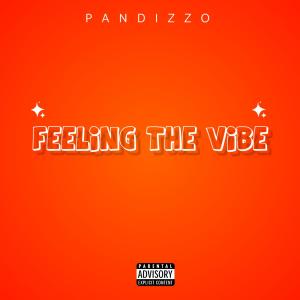 收聽PANDIZZO的Feeling The Vibe歌詞歌曲