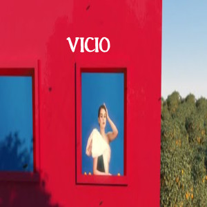 Album Vicio from Selen