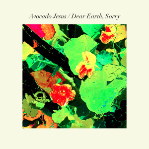 Album Dear Earth, Sorry from Avocado Jesus