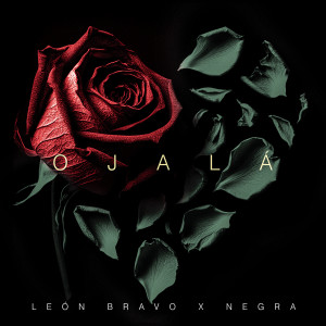 收聽León Bravo的Ojalá歌詞歌曲
