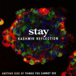 ดาวน์โหลดและฟังเพลง The Calling พร้อมเนื้อเพลงจาก Stay