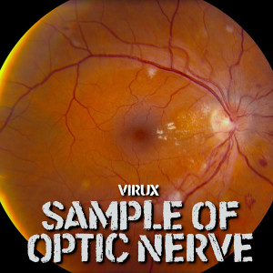 Listen to The sample of optic nerve (Explicit) song with lyrics from Virux