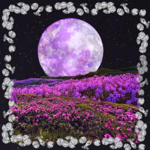 Daiz的專輯Flowerchild on the Moon (Explicit)