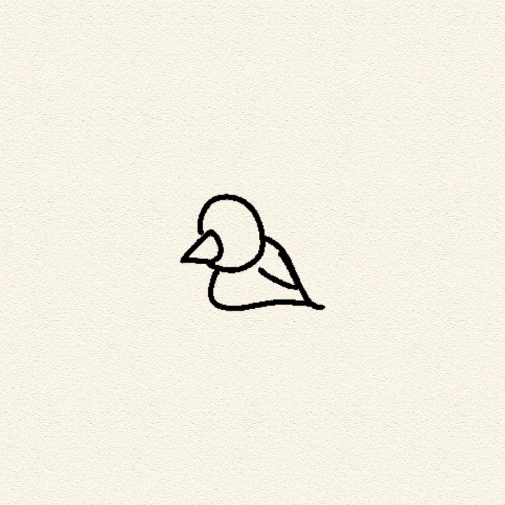 baby bird